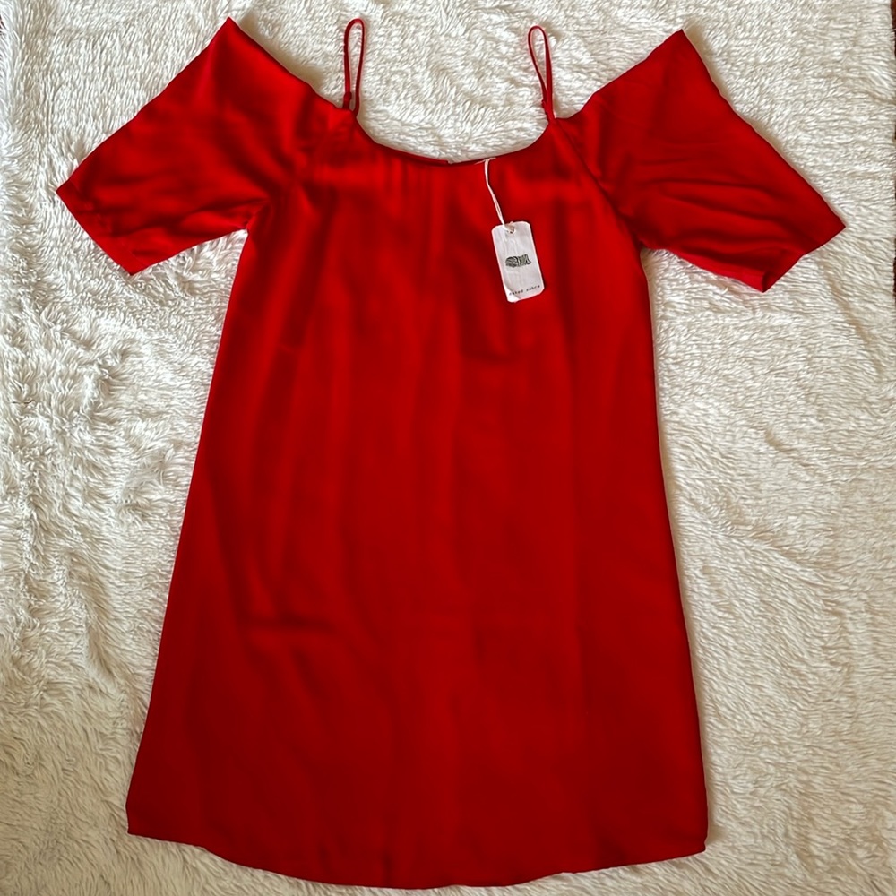 Naked Zebra dress size Small